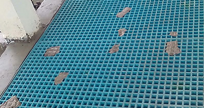 FRP Grating Plem